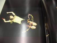 本田美奈子 コンサートパンフレット 42センチ×29.5センチサイズ