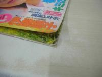 美少女CLUB　1993年04月号　石原めぐみ　志穂美れい子　渡瀬操　一色薫　秋本詩織　伊藤繭子　高木美咲子　浜居真美香　飯田麗子　桐山里香　小橋礼奈　※画像の様に下隅に折れ跡+ホッチキスに錆、巻中頁ホッチキス部分から外れています。　
