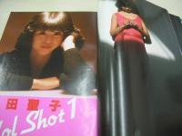 eiga fan　映画ファン　1981年03月号　三原順子 表紙+3折ピンナップ　泉じゅん　甲斐智枝美　松田聖子　柏原よしえ　河合奈保子　松坂慶子　高杉レイ　鹿取洋子　市川千秋　山崎絵里　安達知子　岡田めぐみ　藤本恵子　嵯峨野文子　潤由紀　河野みゆき　林未来　田島順子