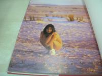 西尾悦子　写真集　Day Dream　デイ・ドリーム　1995年01月27日発行　初版本　スコラ