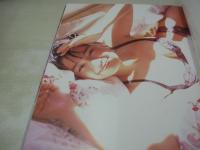 西尾悦子　写真集　Day Dream　デイ・ドリーム　1995年01月27日発行　初版本　スコラ