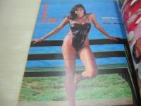 GORO　NO.8　ゴロー　1982年04月08日号　柏原よしえ 表紙+3折ピンナップ　矢島裕美・巻頭グラビア　松田聖子　美保純　ドリーン　新井薫子　秋吉久美子