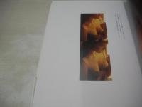 葉山レイコ　写真集　Still　週刊プレイボーイ特別編集　1989年09月13日発行　初版本　集英社  ※画像の様に帯に痛み出ています。