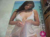 週刊プレイボーイ　NO.32　1975年08月12日号　片平なぎさ 表紙　山科ゆり・巻頭グラビア+ピンナップ　山内えみ子　谷ナオミ　広田ゆり子　五月みどり　八汐亜矢子　亜木美子　沢松和子　矢沢永吉(記事/飢えと血のツッパリ仁義)　黒沢明・大いに語る(記事)