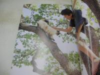 新・激写文庫28　今日のためにうまれた　河合みわこ　森志保　神菜萌子　香沙里奈　GORO特別編集　 撮影:篠山紀信　1994年01月01日発行　初版本　小学館
