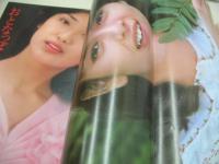 DONDON　ドンドン　1977年05月号　日本ジャーナル出版　松本ちえこ 表紙+グラビア　山口百恵・グラビア+3折りピンナップ(対面は岡田奈々)　山口いづみ　あべ静江　ひろみ麻耶　カレン　相本久美子　シルビア・クリステル　立川直子　泉じゅん＆北川たか子　劇画:学園無頼帳　かまやつひろしは語る　※画像の様に裏表紙+末頁上隅に折れ跡出ています。