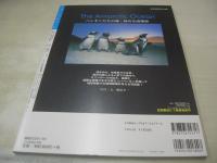 four sphere VOL.01　フォー・スフィア　2002年05月18日発行　桜桃書房　　石田未来 表紙+巻頭グラビア　未開封トレカ4枚付　早乙女未来　芳賀優里亜　藤後夏子