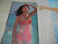 週刊プレイボーイ　NO.36　1978年09月05日号　木村理恵 表紙　ローラポー・ピンナップ　坂口良子　少女セシル　浅野温子　土田真由美　司美穂
