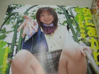 SWEETie　VOL.4　スウィーティー　ベッピンスクール増刊　2005年12月30日発行　星咲美由 表紙　開封済みDVD付　矢口あかり　みそぎあいる　佐々木める　亜紗美　多田瑞穂　星野真希　手塚りえ　秋葉莉乃　水野あすみ　みひろ　牧瀬悠　石川優実