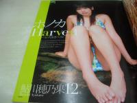 Cream　NO.175　月刊クリーム　2007年02月号　水沢友香 表紙+巻頭グラビア　開封済みDVD付(130分)　鮎川穂乃果　岩本ありす　佐藤愛音　海保恵美　鈴木ゆき　すずきはる　君島あすか　※画像の様に背ホッチキス部分に破れメクレ痛み出ています。