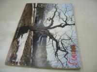 MY美少女 ゆり子　美少女シリーズ No.14　1981年04月01日発行　サン出版　川島ゆり子　野口正之(内山亜紀)/ハニーギャル