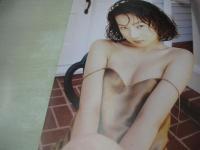 PENTHOUSE DASH　VOL.2　ペントハウス ダッシュ　1996年03月24日号　坂木優子 表紙　大沢逸美　大野幹代　大河内奈々子　松本ちえこ　西尾悦子　牧村果歩　タバタ・キャッシュ　水谷リカ　岩崎静子　聖まどか　野本美穂　五十嵐紀子+佳子　白石ひとみ