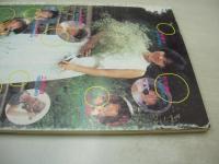 CANDY JACK　月刊キャンディ・ジャック　1985年08月号　佐野量子 表紙+巻頭グラビア　中山美穂　松本伊代　工藤夕貴　宮原裕子　渡辺千秋　秋本理央　堀江しのぶ　木ノ葉智恵　山本博美　太田貴子　※画像の様に裏表紙側面に擦れ痛み出ています。