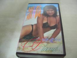 松岡知重　知重・愛ランド　イメージショット　30分　型番:CAV20-17　1988年12月04日発行　販売専用　中古ビデオ　笠倉出版