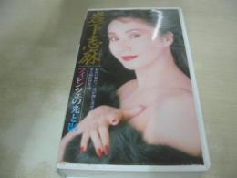 岩下志麻 フィレンツェの光と影　イメージショット　30分　型番:IV-1098　1992年04月16日発行　販売専用　中古ビデオ　大陸書房
