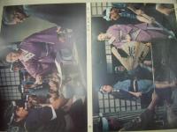 昇り竜　鉄火肌　ロビーカード　扇ひろ子　藤竜也　小林旭　高橋英樹　監督:石井輝男作品　B4判ロビーカード　8枚組　日活　日本映画