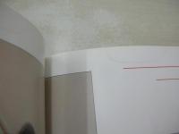 自販機本　性の妖精　ハーフ・バージン　オールカラー64頁　大泉珠美+椎名由紀子　中島晴美　白石聖子　山崎麻子+里山智美　グリーン企画　※画像の様に表紙面に汚れ、背部分に錆痛み上部に染み跡出ています。