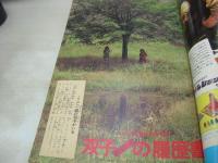 少年マガジン　NO.42　1975年10月19日号　ザ・リリーズ 表紙+巻頭グラビア　あのスターは、今どうしてる?(記事)