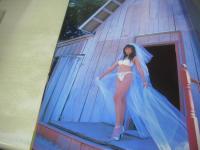 梶原真弓　写真集　Made In Hollywood  2000年10月01日発行　バウハウス