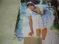 美少女通信　1988年08月号　少年出版社　森村羽純 表紙+グラビア　東清美・巻頭グラビア　滝沢たまみ　菊池尚美　日高優　渡志野ちえ