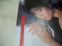 ビデオ少年Spirits!　1988年07月号　島田奈美 表紙+巻頭グラビア　武田久美子　黒沢ひとみ　堀江しのぶ　向井亜紀　畠田理恵　斉藤唯　田中律子　立原友香　白木麻弥　麻生澪+星川ミグ(対談記事)　かわいさとみ(インタビュー記事)