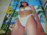 Waffle　NO.21　ワッフル　1999年06月07日発行　高木美貴 表紙+巻頭グラビア　西崎華子　小野田優美　島田真実佳　太田留沙　綿星くるみ　佐藤江梨子　久保亜沙香　鈴川絵里子　星野ほのか　※画像の様に底部に赤線引き跡出ています。　　