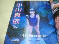 Waffle　NO.22　ワッフル　1999年07月05日発行　姫嶋菜穂子 表紙　小山真依　谷口ともみ　西崎華子　大森亜由子　久保亜沙香　松本未来　永井雪　ワッフル特製ブルマーカレンダー