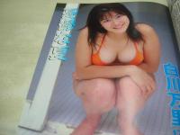 Waffle　NO.24　ワッフル　1999年09月06日発行　内藤朱里 表紙　久保亜沙香　萩原舞　島田真実佳　姫嶋菜穂子　山下ちはる　白川万里　※画像の様に底部に赤線引き跡出ています。