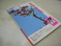 美少女通信　1991年11月号　冴木みちる　風間じゅん　伊東咲　関口麻子　松川ともみ　中村歩美　南すみれ　風間あんり　沢村杏子　渚友紀　愛川瞳　野本麻里　北原ななせ　青山里美