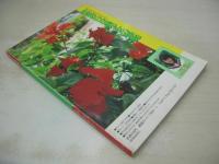 美少女通信　1989年07月号　青木ゆかり　栗原早紀　梁川りお　杉本かおり　杉本ゆかり　沢口美貴　沢田ユカ　川上めぐみ　沢村麻衣　遠藤友里子　新田恵美　東山恵美　