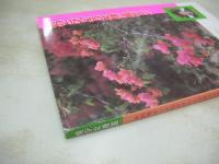 美少女通信　1990年01月号　吉田さやか　田中美奈　原由美子　遠山あかね　みなとあかね　沖田ゆかり　御藤静　小林さゆり　横内文子　林こずえ　※画像の様に背上部に痛み出ています。