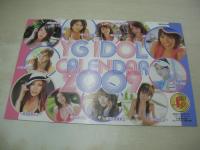 ヤングガンガン　NO.02　2009年01月16日号　木下優樹菜 表紙+巻頭グラビア+3折ピンナップ　八代みなせ・巻中グラビア　アイドリング・巻末グラビア　冊子本付:2009YGアイドルカレンダー(しほの涼、鎌田奈津美、原幹恵、青島あきな、南明奈、ローラ・チャン、辰巳奈都子、仲村みう、木下優樹菜、山本梓、秋山奈々)
