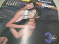 ヤングガンガン　NO.02　2009年01月16日号　木下優樹菜 表紙+巻頭グラビア+3折ピンナップ　八代みなせ・巻中グラビア　アイドリング・巻末グラビア　冊子本付:2009YGアイドルカレンダー(しほの涼、鎌田奈津美、原幹恵、青島あきな、南明奈、ローラ・チャン、辰巳奈都子、仲村みう、木下優樹菜、山本梓、秋山奈々)