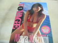 ヤングガンガン　NO.19　2007年10月05日号　外岡えりか 表紙+巻頭グラビア　しほの涼・巻末グラビア　冊子本付:小泉麻耶別冊写真集