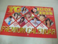 ヤングガンガン　NO.01　2008年01月04日号　南明奈 表紙+巻頭グラビア　工藤菜緒・巻中グラビア　登NEW門(松本紫甫、林弓束、菊池亜美、高木梨紗、田中直乃、網倉めみ)・巻末グラビア　特別付録付:2008YGアイドルカレンダー(白鳥百合子、菅澤美月、沢菜々子、外岡えりか、しほの涼、愛衣、中村優、小泉麻耶)