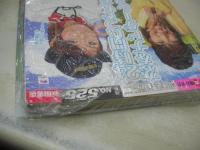 ヤングチャンピオン　NO.22　2008年11月11日号　池田夏希 表紙+巻頭グラビア　山本梓・クリアファイル付　※画像の様に書店でパックされた状態の未読本になります。