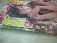 ヤングチャンピオン　NO.22　2008年11月11日号　池田夏希 表紙+巻頭グラビア　山本梓・クリアファイル付　※画像の様に書店でパックされた状態の未読本になります。