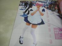 Cream Best of Best　VOL.10　クリーム ベスト・オブ・ベスト　月刊クリーム特別編集　2006年07月01日発行　吉崎直緒 表紙+超BIG美尻ポスター付　若菜ひかる　春咲あずみ　早川凛　坂下もえ　仲村みう　みひろ　大塚ひな　天衣みつ　麻美ゆま