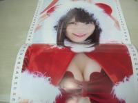 ヤングアニマル　NO.24　2020年12月25日号　えなこ 表紙+巻頭グラビア+特別付録えなコスカレンダー　宮本彩希・巻末グラビア