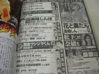 週刊ビッグコミックスピリッツ　NO.21　2008年05月05日号　松下奈緒 表紙+巻頭グラビア　花と奥たん　麒麟