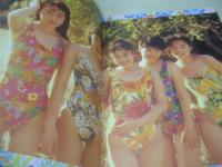 CoCo　コンサートパンフレット　HotなCoCo夏'91　36.5センチ×26センチサイズ