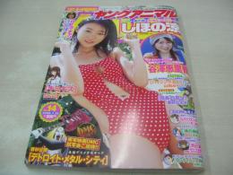 ヤングアニマル　NO.14　2008年07月25日号　しほの涼 表紙+巻頭グラビア　谷澤恵里香・巻中グラビア　ローラ・チャン