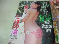 ヤングアニマル　NO.14　2008年07月25日号　しほの涼 表紙+巻頭グラビア　谷澤恵里香・巻中グラビア　ローラ・チャン