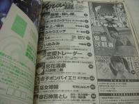 ヤングアニマル嵐　NO.12　2006年12月01日発行　安藤沙耶香 表紙+巻頭グラビア　しほの涼・巻中グラビア