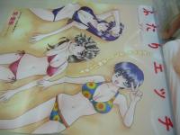 ヤングアニマル　NO.13　2009年07月10日号　重盛さと美 表紙+巻頭グラビア　しほの涼・巻末グラビア　ローラ・チャン