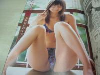 ヤングアニマル嵐　NO.10　2008年10月01日号　しほの涼 表紙+巻頭グラビア　石井香織・巻中グラビア　花木衣世・巻末グラビア