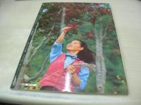 聖少女　創刊第2号　1981年01月01日発行　サン出版　佐藤千鶴子　3折ピンナップ付