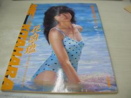 北原美枝(かわいさとみ)　写真集　花・図・鑑　1985年09月発行　白夜書房　※画像の様に表紙内側上隅に折れ跡出ています。