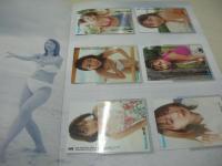 Wakanadas　ワカナダス　酒井若菜　完全BOXセット　2001年度版　写真集・接近+Q&A2001問・若菜キーワード2001(21万語収録)　2冊付　トレカ6枚　大型ポスター1枚　はさまって若菜(特製しおり)　2001年08月01日発行　初版本　祥伝社 