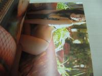 月刊　森下千里　SPECIAL PINUPS TAKESHI HANZAWA 068 SHINCHO MOOK　ポスター付　2005年05月18日発行　新潮社　※画像の様に背上部に破れ痛み出ています。